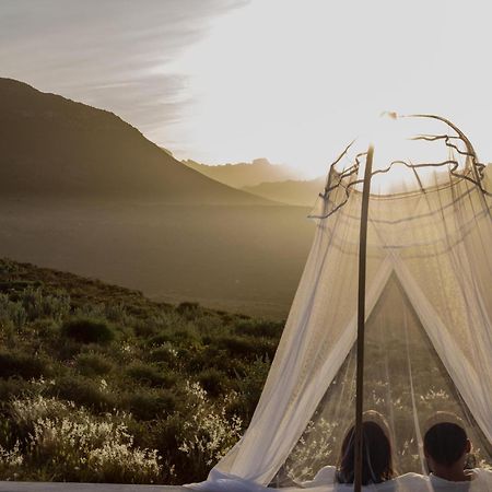 Simbavati Cederberg Ridge Villa Clanwilliam Exteriör bild
