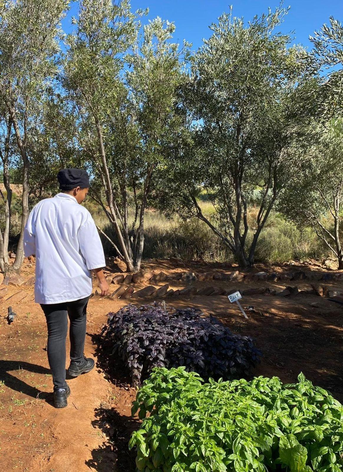 Simbavati Cederberg Ridge Villa Clanwilliam Exteriör bild